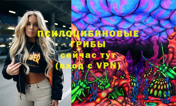 соль курить ск Арсеньев
