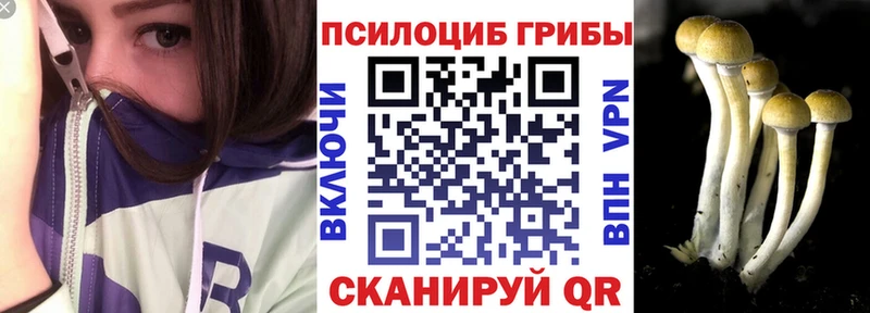 купить   Мариинск  Галлюциногенные грибы Psilocybe 